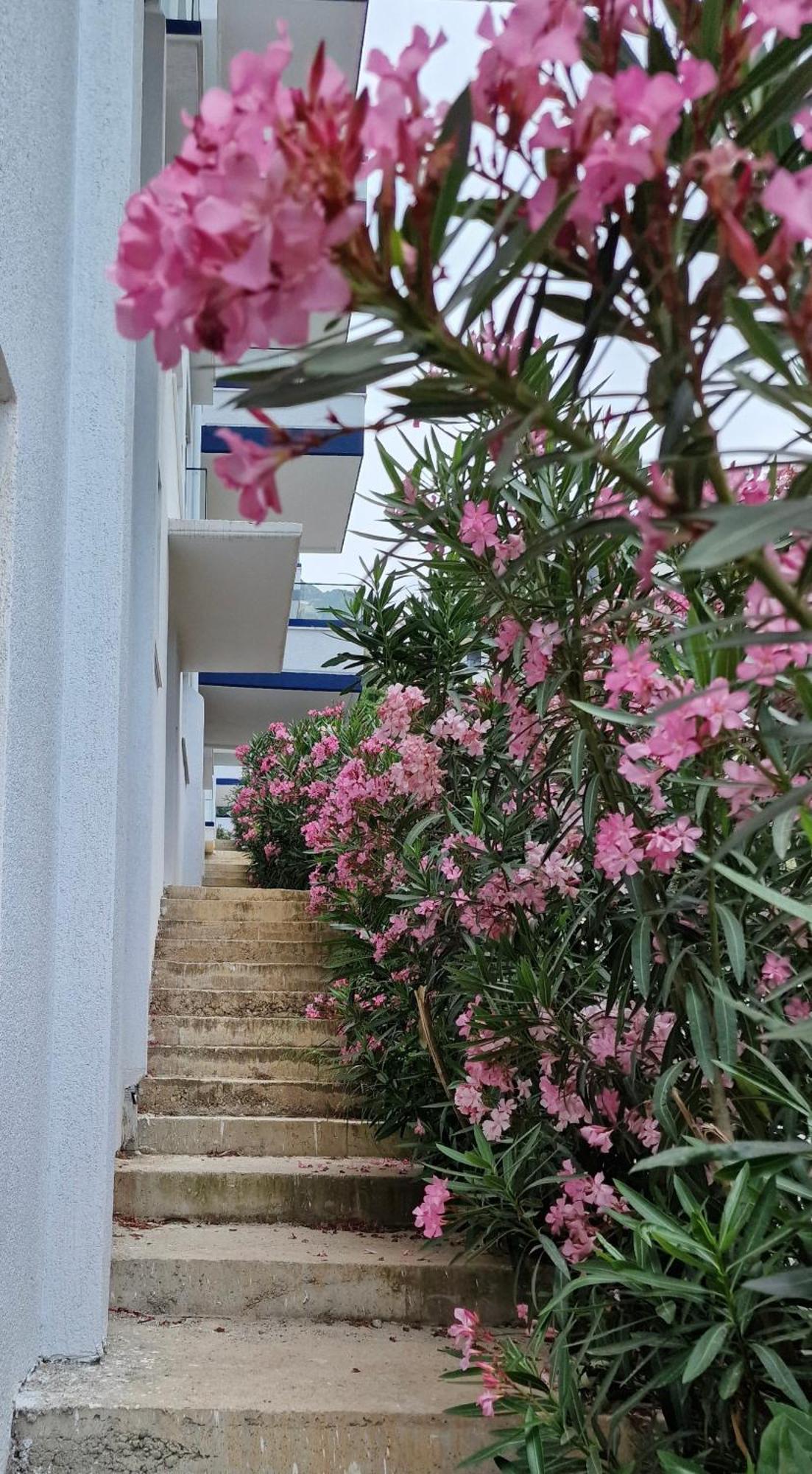 Elisos Studio Apartment Vlorë Eksteriør bilde